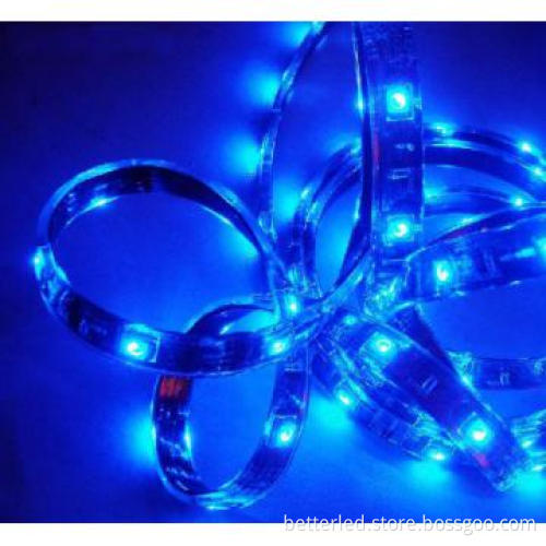 Blue color High lumens IP65 waterproof SMD5050 Led strip,DC12V,14.4w/m